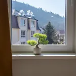 Bergsonnen-stuben