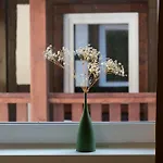 Appartamento Bergsonnen-stuben