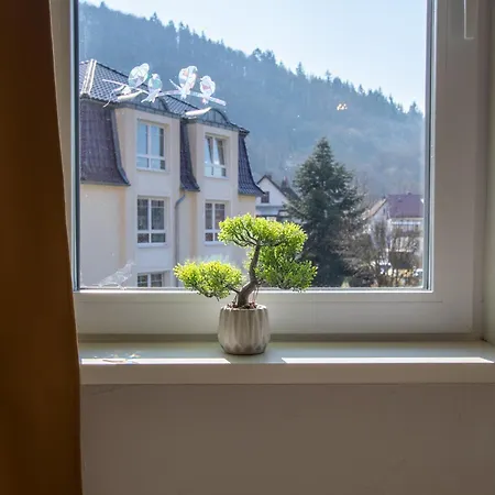 Bergsonnen-stuben